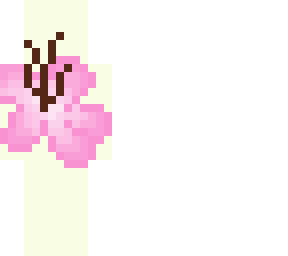 cherry blossoms no. 2