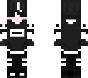 echo v1