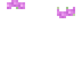 pink flower crown