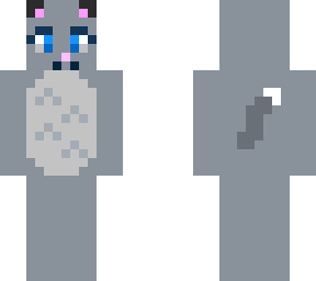 a simple gray tabby cat