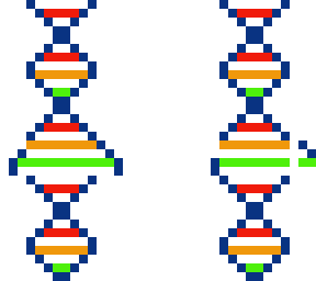 also for my friend dna xd