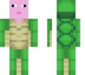 turtle pig