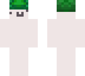 turtleman