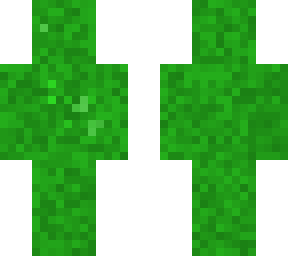grass
