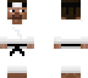 ninja steve