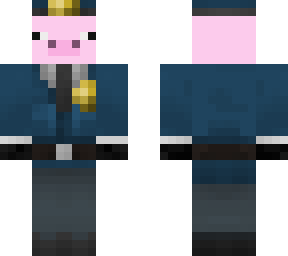 pig police officer hayden