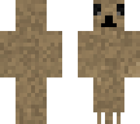 sloth