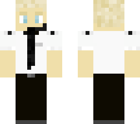 airline pilot