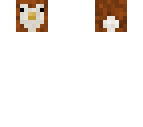 barn owl head