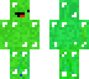 cacti skeepy