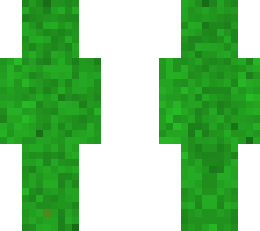 lizbard