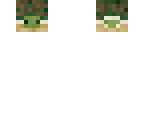 turtle head