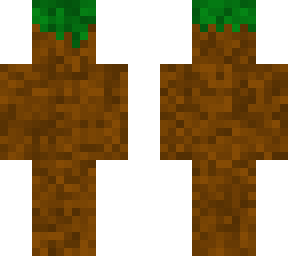 minecraft dirt
