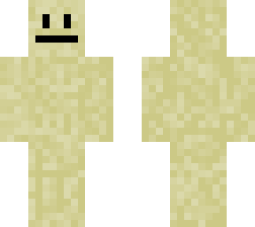 mr.carpet