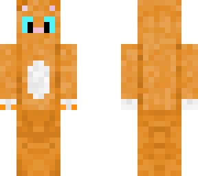 orange cat