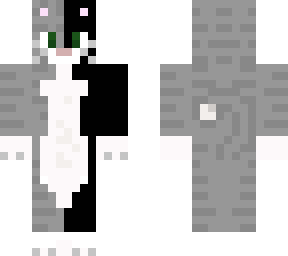 gray and black cat