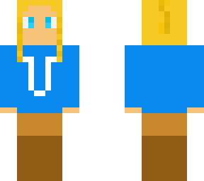 link, from botw