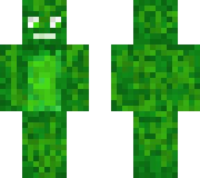 lizard