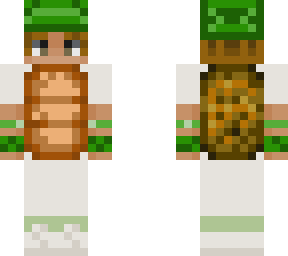 nachyo - turtle