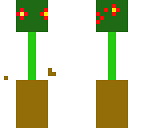 plant in pot skin