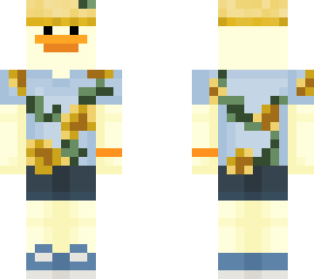 spring duck