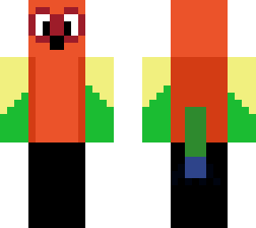 sun conure