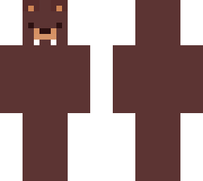 walrus bear