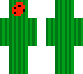 water melooon