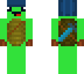 beanie turtle
