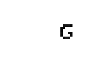 g skin