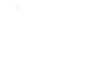 inviz