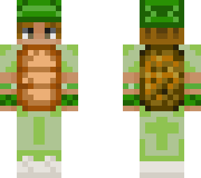 nachyo - turtle