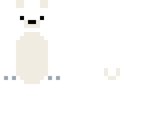 polar bear  oso polar