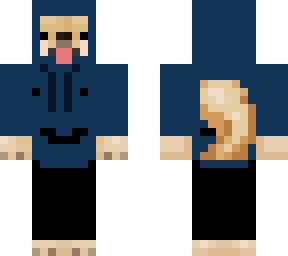 the doge
