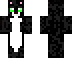 cat   gato