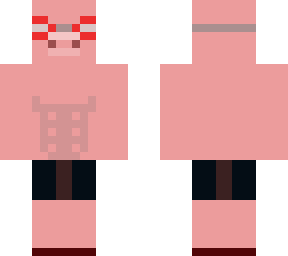pig in swim gear
