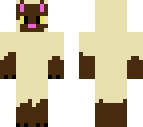 siamese cat