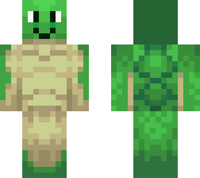 turtle