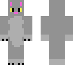 gray cat