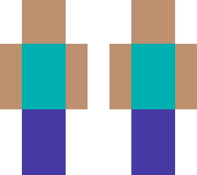steve have 1 pixel
