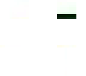 survivor