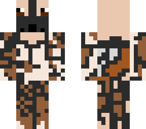 african wild dog