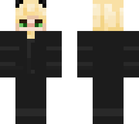 cat noir