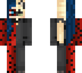 chat noir/ ladybug