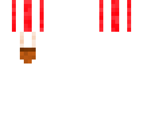 hot air balloon