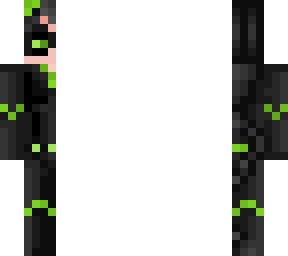 lady noir/ mister bug