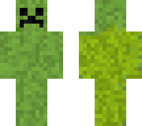 creeper comun