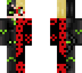 lady noir/mister bug