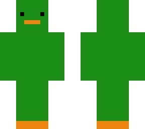 mallard duck