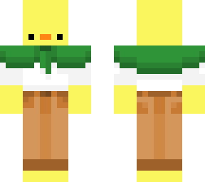 medieval duck
